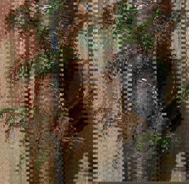 Luxform Solar 50 Led Microlight 10 White 5 Pink 5 Blue