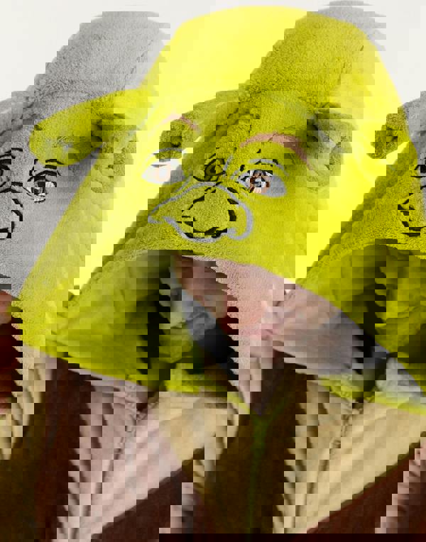 Shrek Unisex Beige Character Onesie