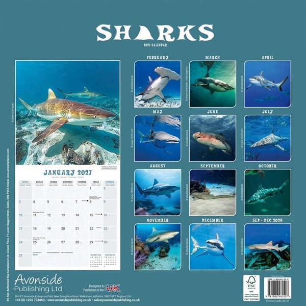 Sharks Calendar 2027, Wall Calendars, Month To View, Animals, Gift