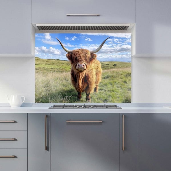 Warren Reed - Designer Highland Cow In Summer Kitchen Splashback