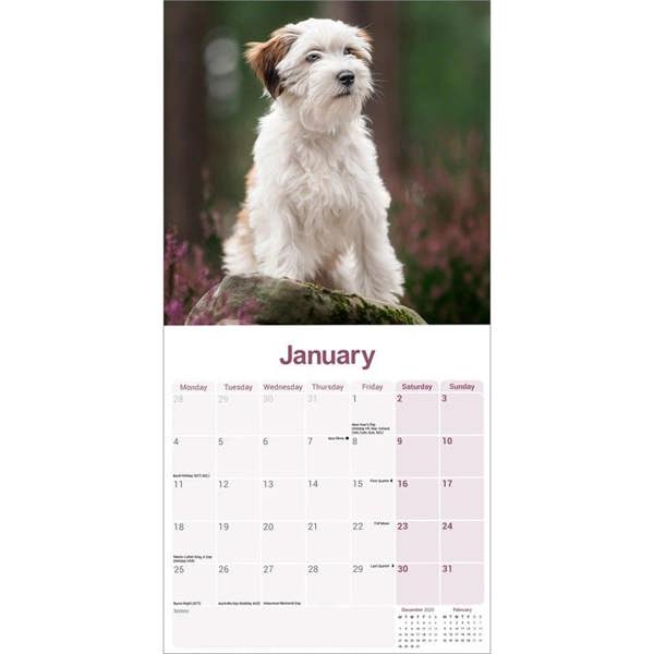Tibetan Terrier Calendar 2027, Wall Calendars, Month To View, Dogs, Gift