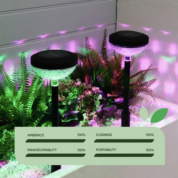 Gardenwize Pack of 2 Multi-Coloured Solar LED Garden Stake Lights