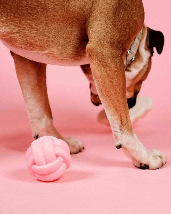 Barc London Knotball Squeaky Dog Toy