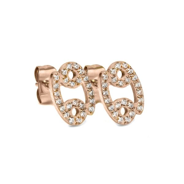 Say It With Cancer Earrings with CZ Stones - Rose Gold Plated
