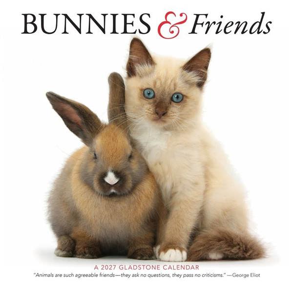 Unbranded Bunnies & Friends Calendar 2027, Wall Calendars, Month To View, Animals, Gift