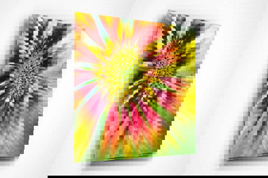 colourful flower art print