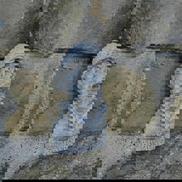 Hilarious Beware of the Gardener Plaque