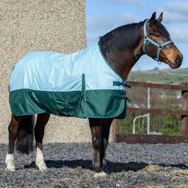 eQuitack 600D Outdoor Winter Lightweight Waterproof Horse Turnout Rug 0g No Fill Regular Neck Nylon Lined Double Buckle Pista Aqua/Bottle Green