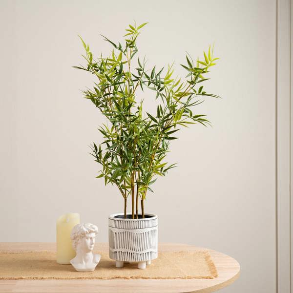 Scottish Everlastings 75cm Mini-leaf Bamboo Tree