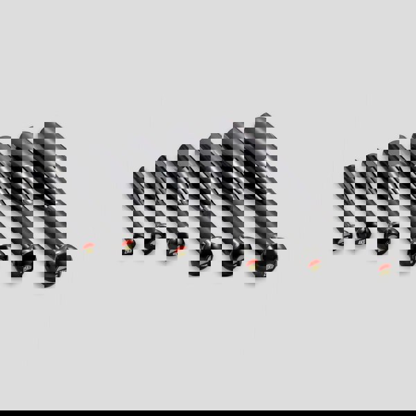 Phoenix Fitness 15KG Indian Club