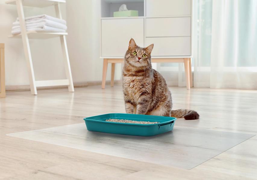 Floortex P-Tex Multi-Purpose PVC Mat for Carpet & Hard Floor Protection