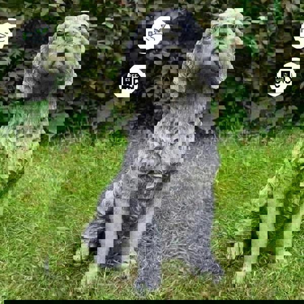 Golden Retriever Dog Garden statue