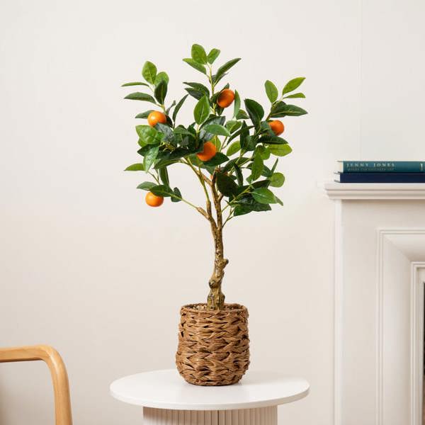 Scottish Everlastings 76cm Orange Tree in Woven Basket
