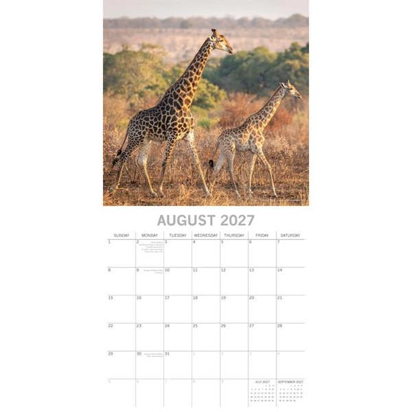 South Africa Calendar 2027, Wall Calendars, Month To View, Travel, Gift