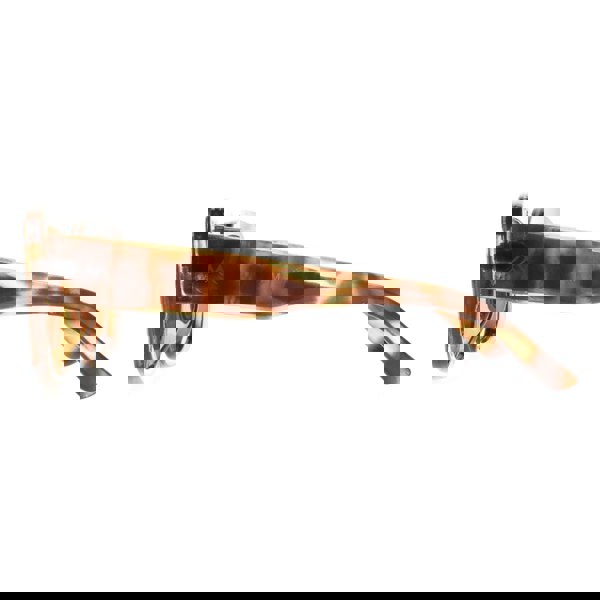 Montana Sunglasses MP56 B Shiny Soft Demi Brown Polarized