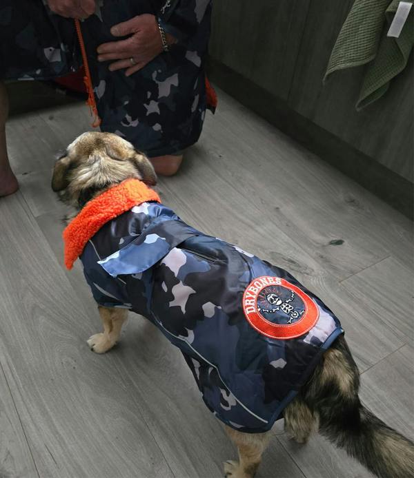 DRYBONES Waterproof Dog Coat