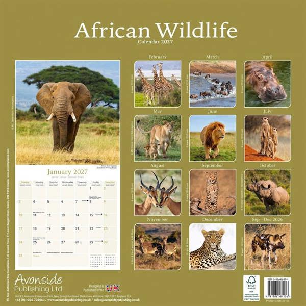 African Wildlife Calendar 2027, Wall Calendars, Month To View, Animals, Gift