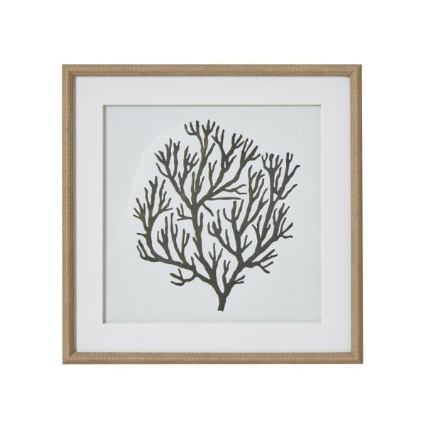 Hill Interiors Atol Coral Framed Art Print - Brown/Grey/White
