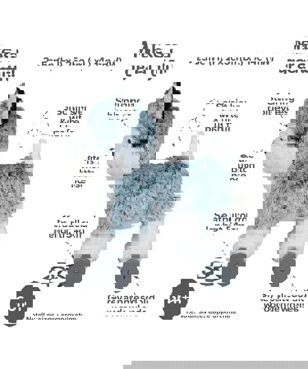 Infographic image of Mishka Dog Pull Along Toy showing features and benefits