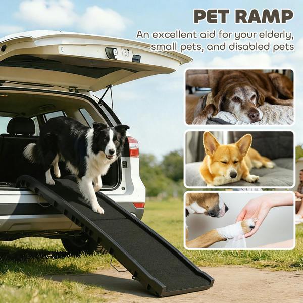 Pet Ramp