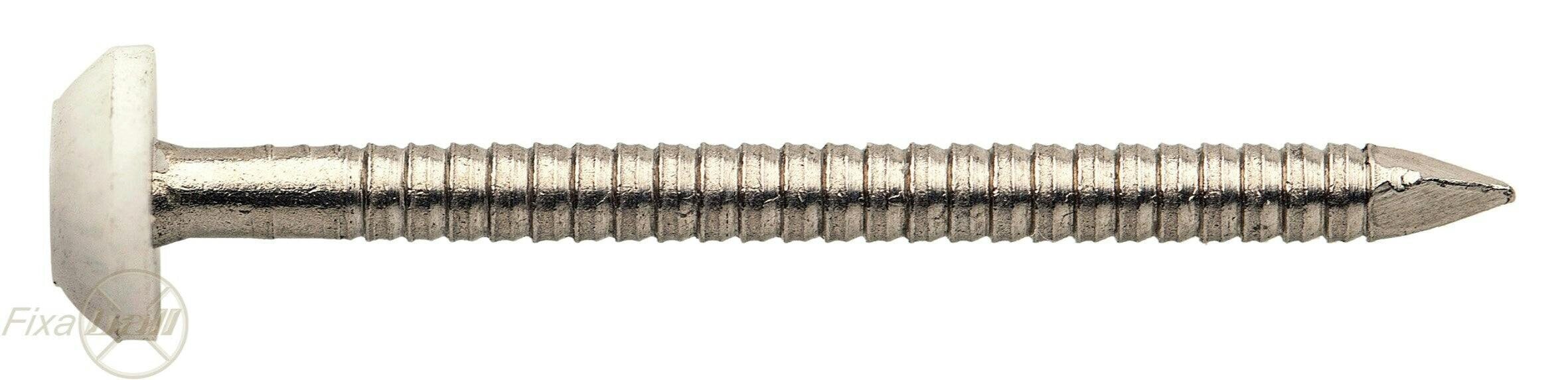 Fixaball Plastic Headed Nails A4 Stainless Steel