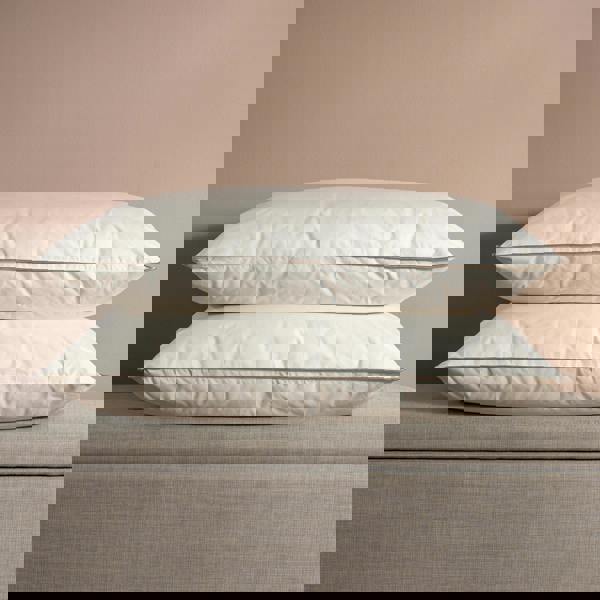 Soak&Sleep 60% Duck Down Pillows