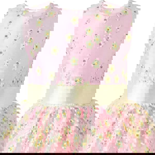 Rachel Riley 3D Daisy Tulle Party Dress