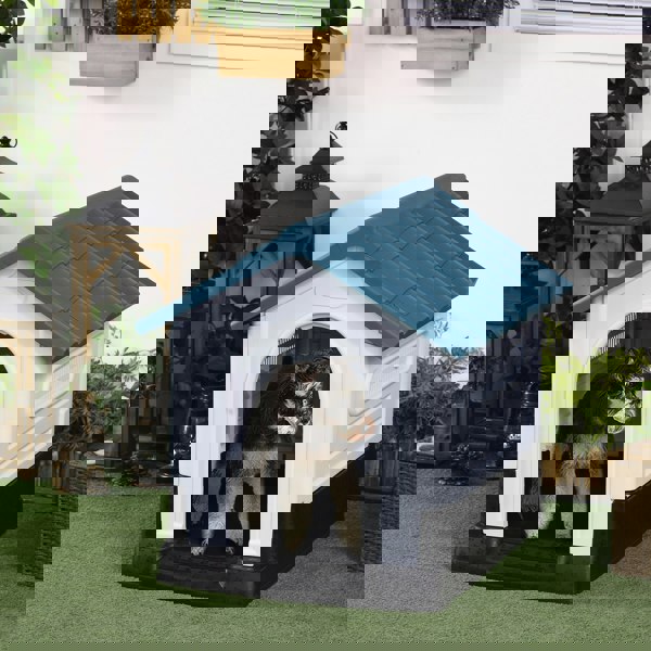 D02-164V00BU
