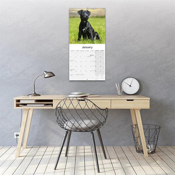 Patterdale Terrier Calendar 2027, Wall Calendars, Month To View, Dogs, Gift