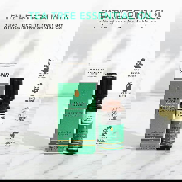 Tisserand Aromatherapy Tea Tree Essential Oil 9 ml