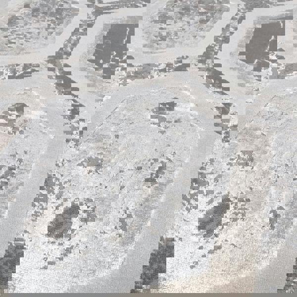 Asiatic Aurora AU12 Crystal Rug