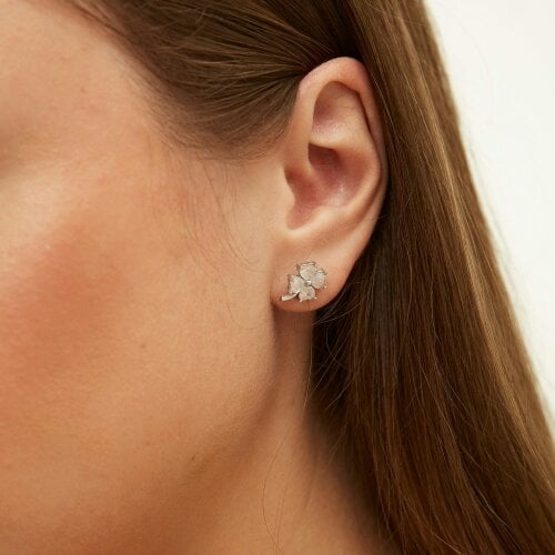 Spero London Best of Luck Four Leaves Clover Sterling Silver Bracelet Necklace and Stud Earring Set - White