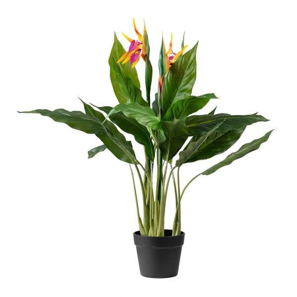 Scottish Everlastings 83cm Bird of Paradise Tree with Flower