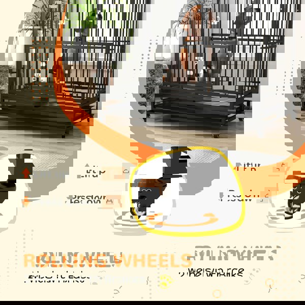D02-157V02BK