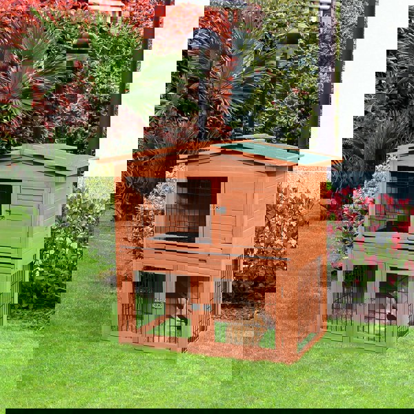 D2-0049