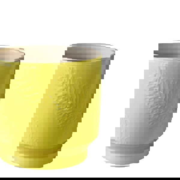 #color_lime