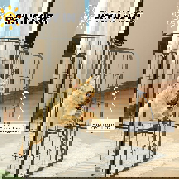 D06-250V02BK