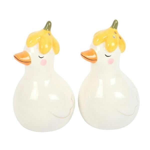 Kingsbury Gifts Ceramic Duck Salt & Pepper Shaker Set