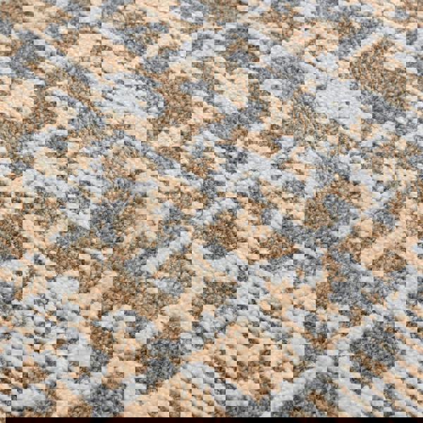 Asiatic Anders AN11 Border Rug