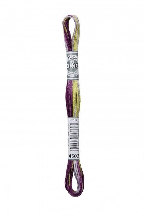 4503 Glycine | Multicoloured