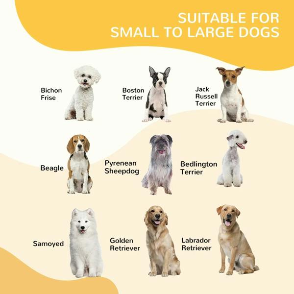 Puppy playpen size guide graphic featuring small-to-large dog breeds.