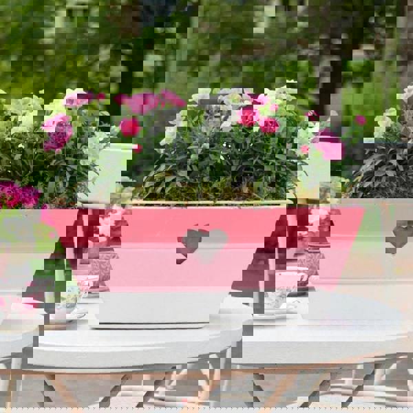 Large Pink Heart Wooden Trough – Planted with Seasonal Dianthus Plants By Post
