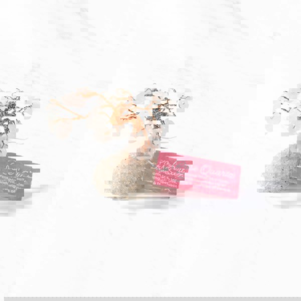 Myga Gem Trees - Singles