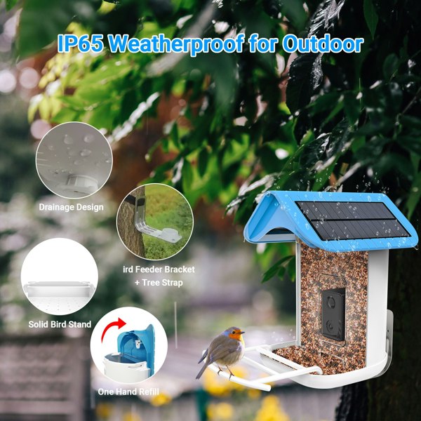 Callow Retail Callow Smart Bird Feeder with WI-FI Camera Solar power and AI Bird Recognition