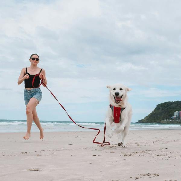 EzyDog Track 'N' Train Long Dog Lead