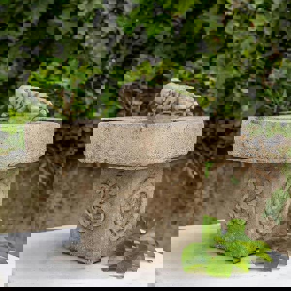 Stone Cast Small Birdbath Monk Buddha