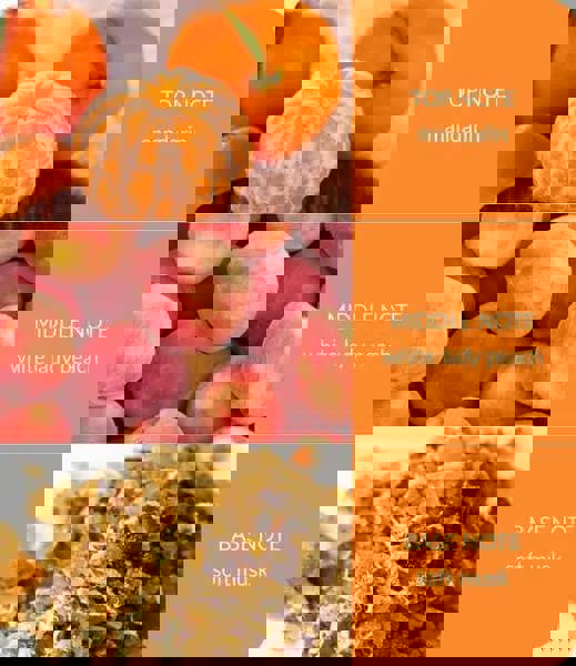 Heart & Home Peach Passion - Wax Melt