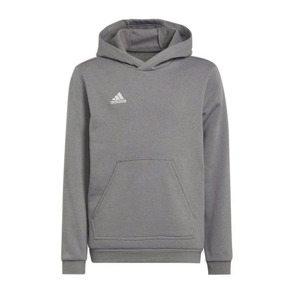 Adidas Childrens/Kids Entrada 22 Hoodie - Grey - 