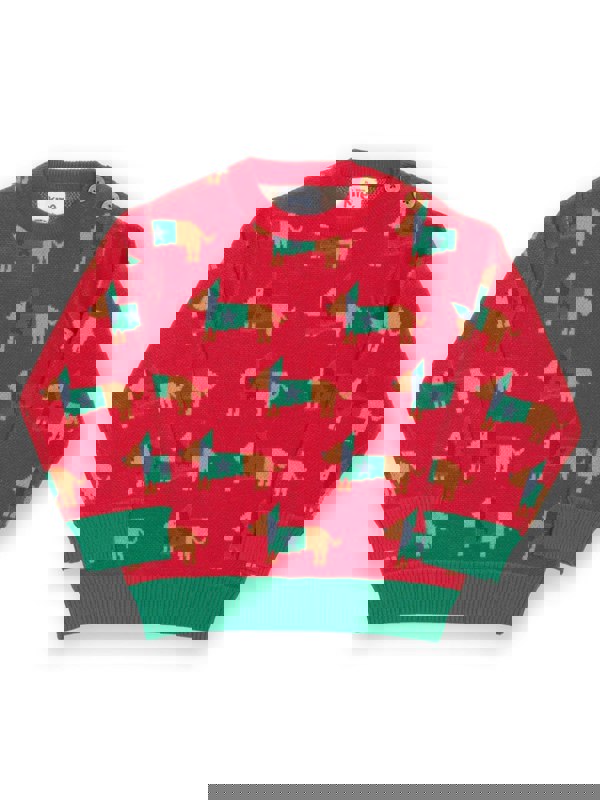 Kite Boys Organic Daxie Dog Jumper