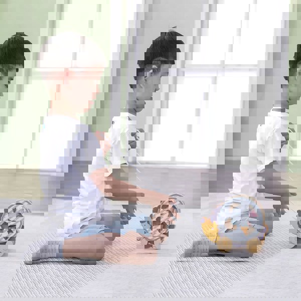 Polar B Hedgehog Sorting Wheel